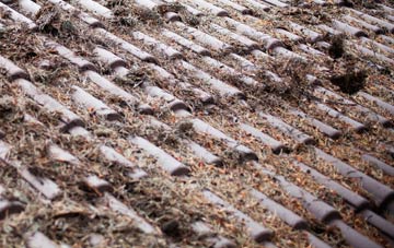 Machroes roof cleaning companies