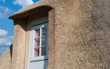 Machroes thatch roof disadvantages