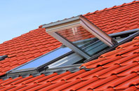 Machroes roof window
